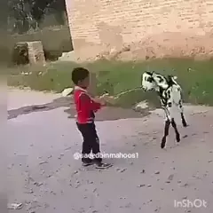 rdt