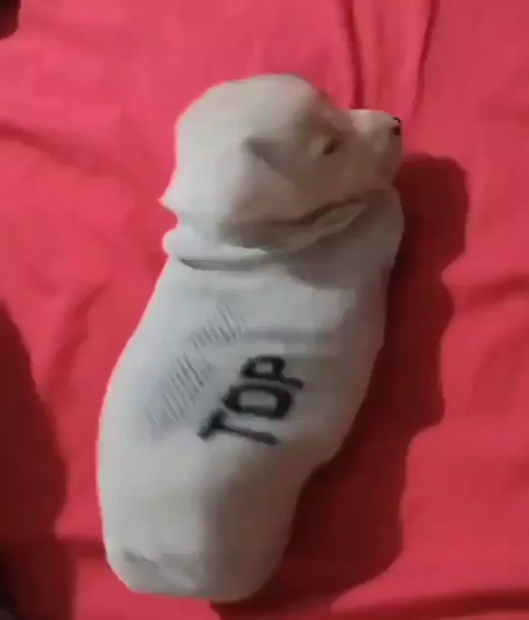 rdt