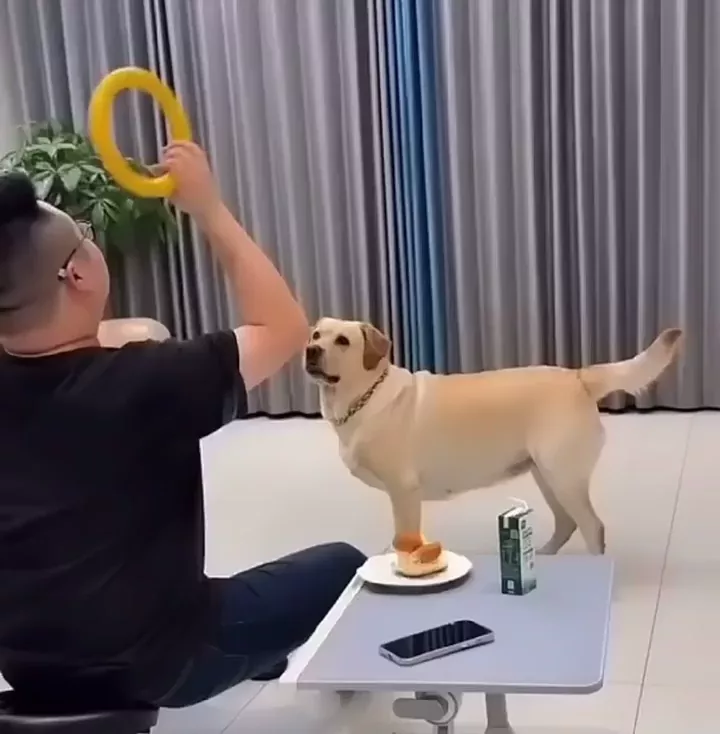 rdt