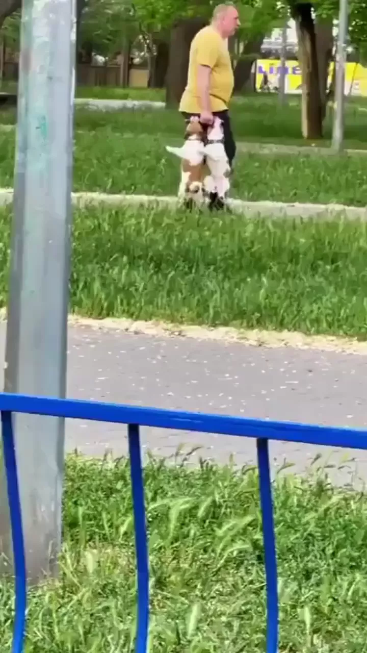 rdt