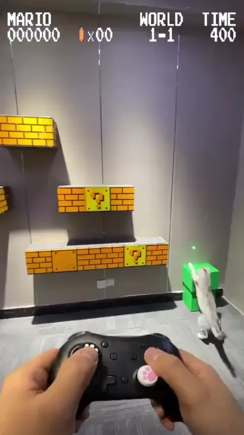 rdt