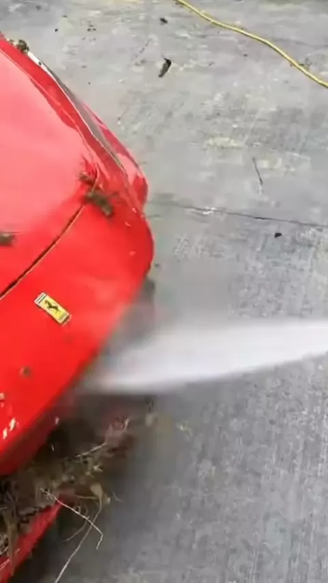 rdt