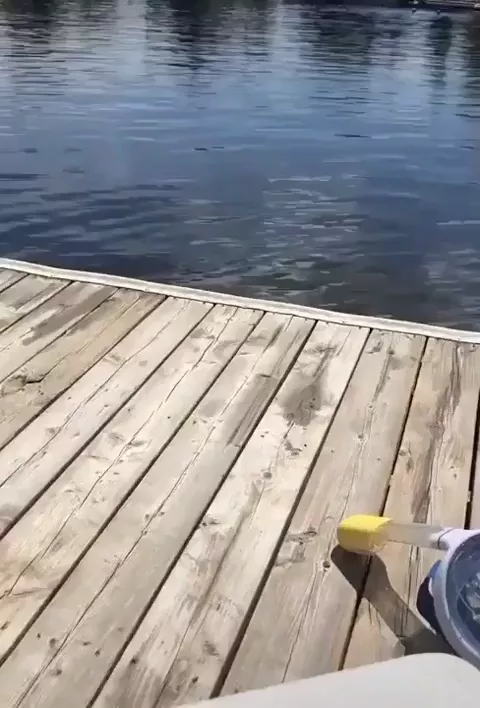 rdt
