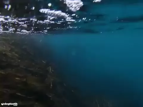 rdt