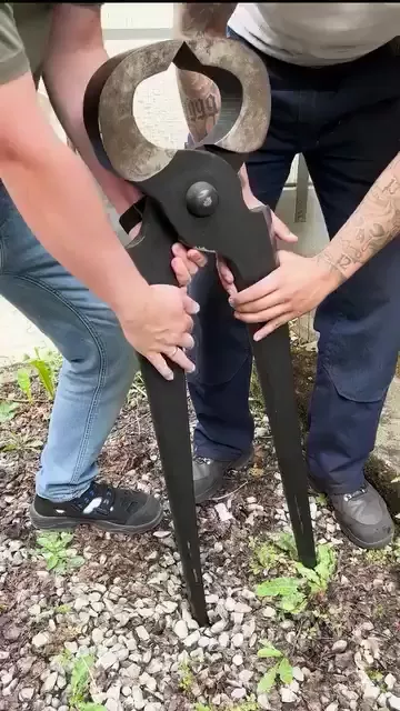 rdt