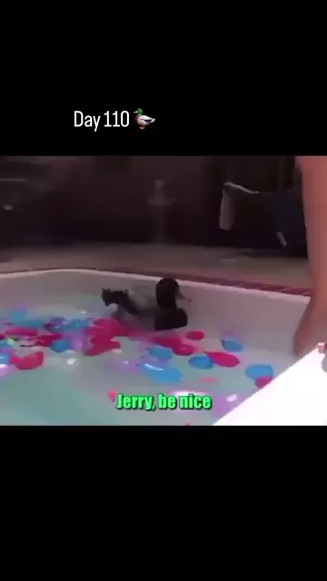 rdt