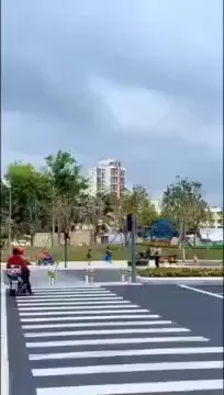 rdt