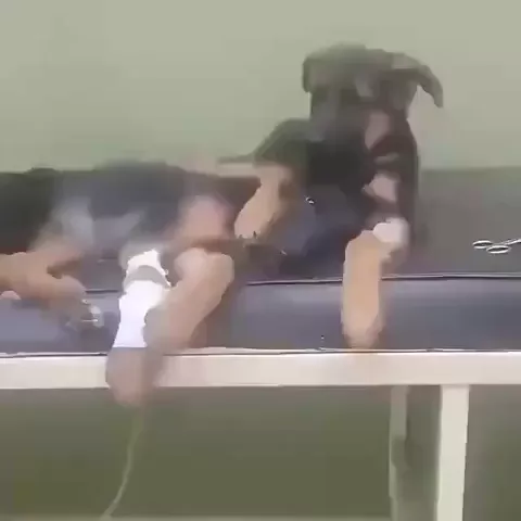 rdt