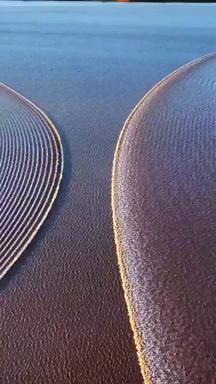 rdt