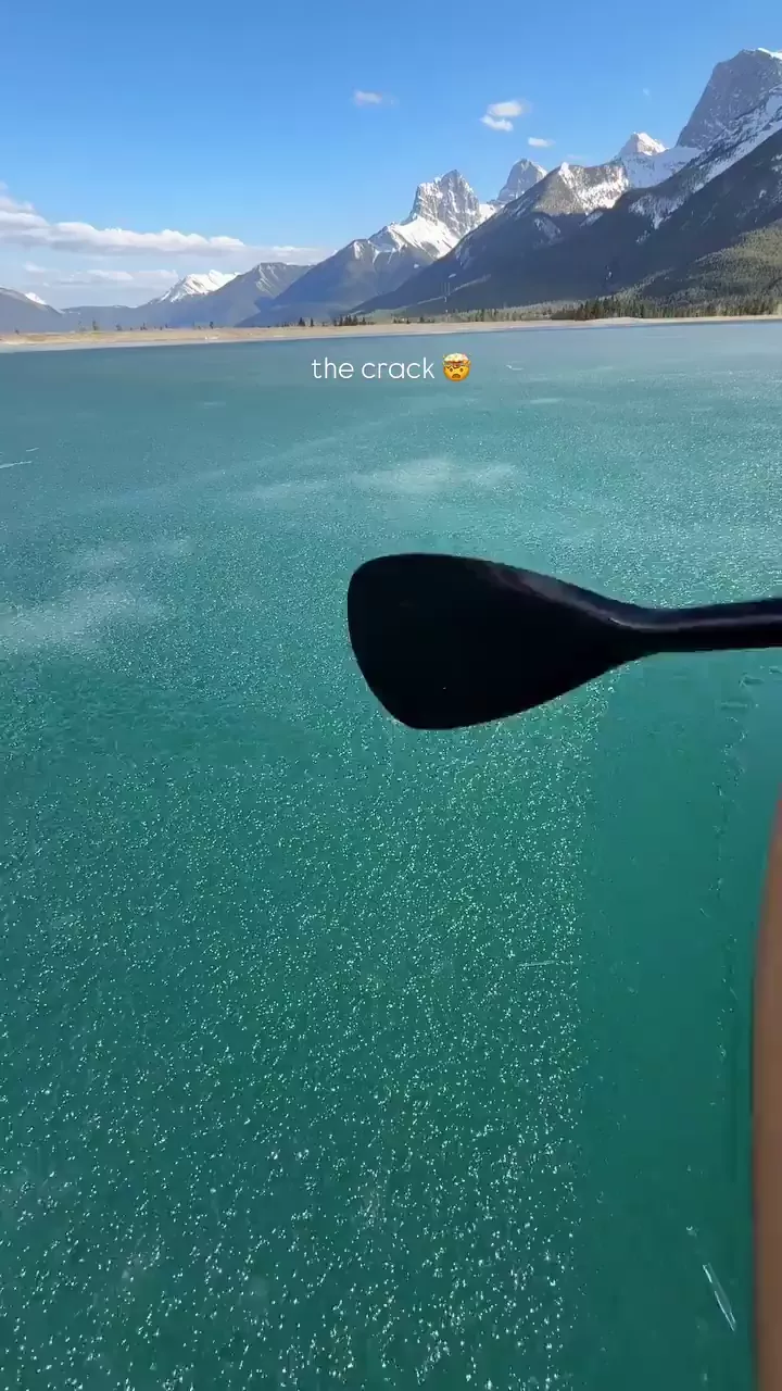rdt