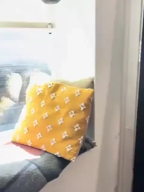 rdt