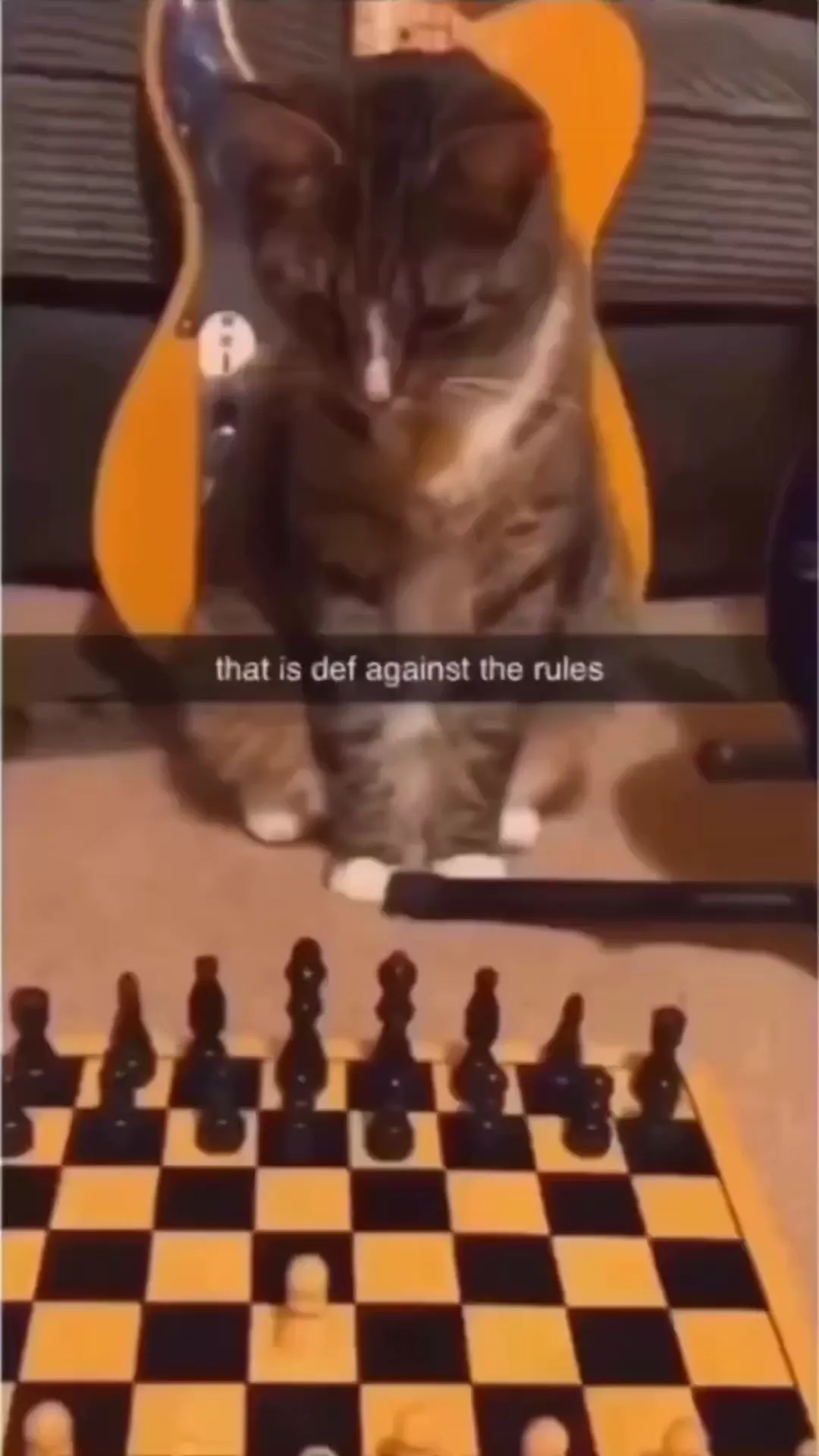 rdt