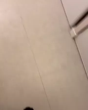 rdt
