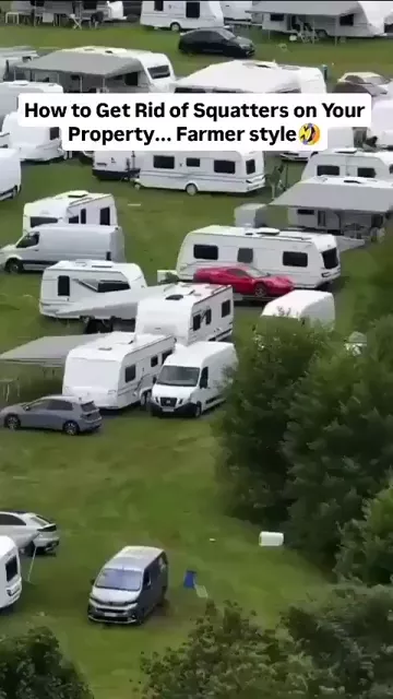 rdt