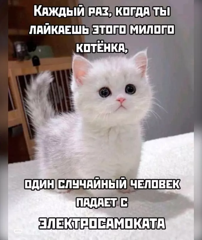 Посмеялся сам - поделись с другом!!!
