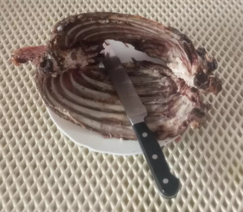 Что Вы сейчас едите? Фотоблог с вашего стола