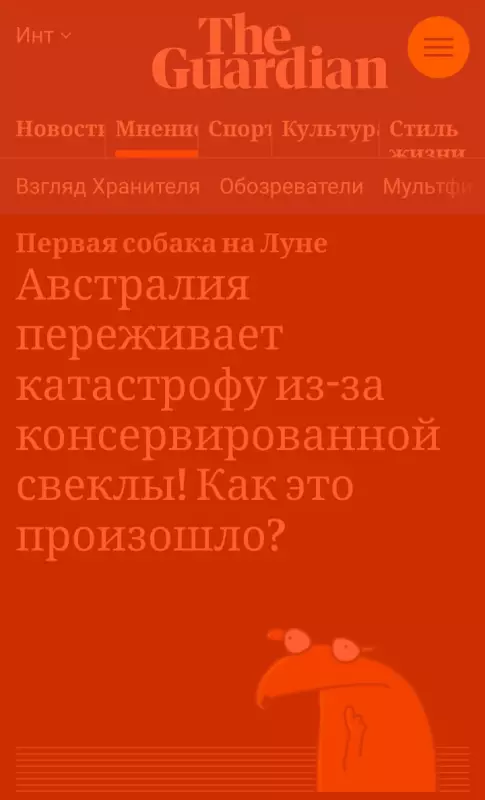 Австралийский бургер «Всё включено»
