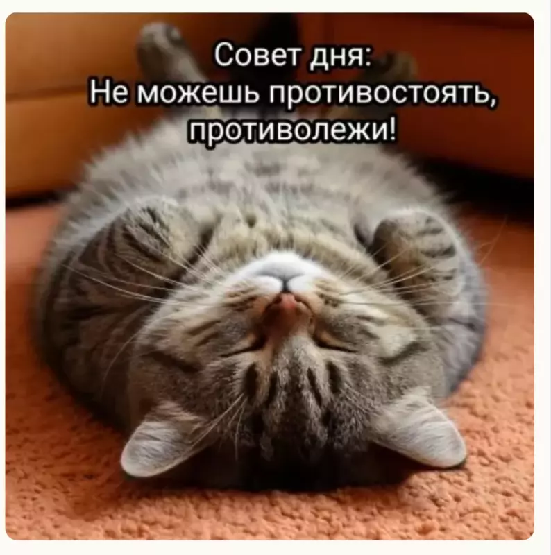 Стройнеем с удовольствием и ещё чуть-чуть о здоровье