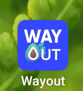 Стройнеем с удовольствием и ещё чуть-чуть о здоровье