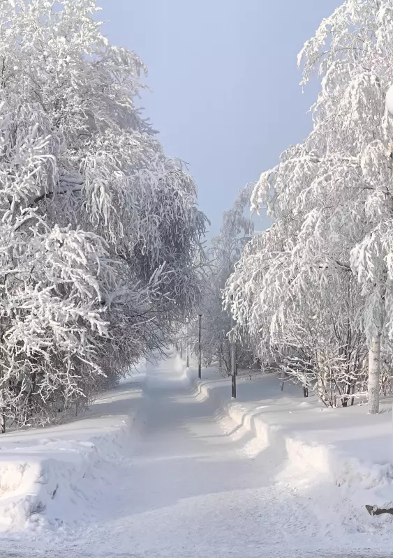 Фотонастроение