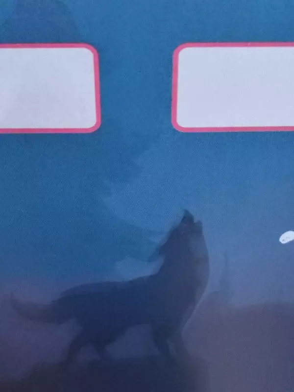 Вышивка крестиком