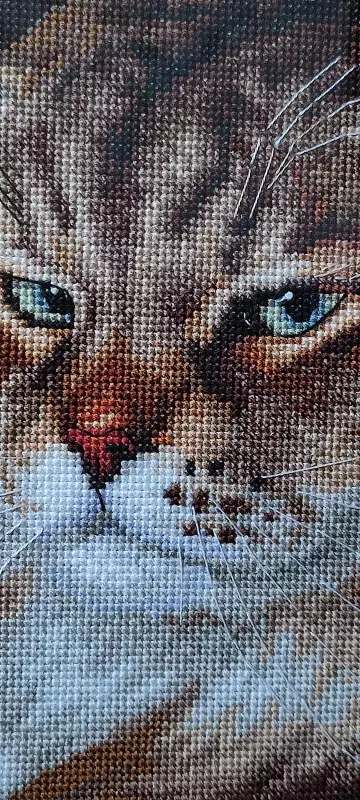 Вышивка крестиком