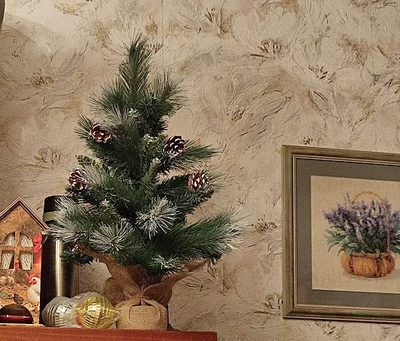 Кто имеет опыт покупки товаров на Wildberries?