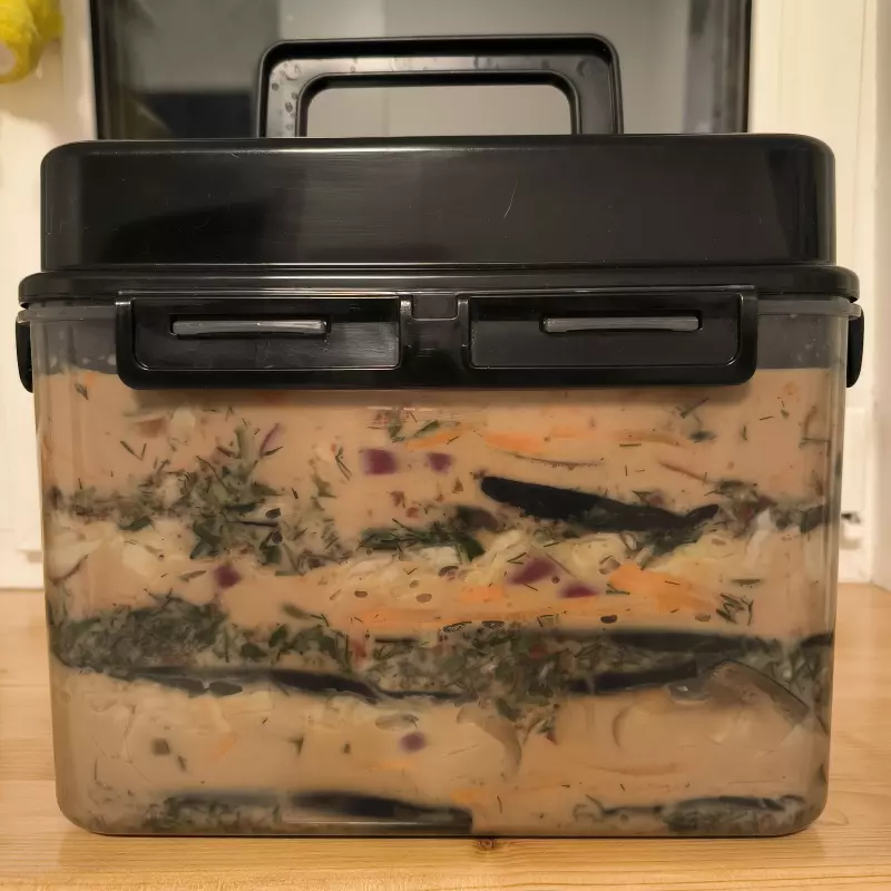 Баклажаны квашеные с овощами