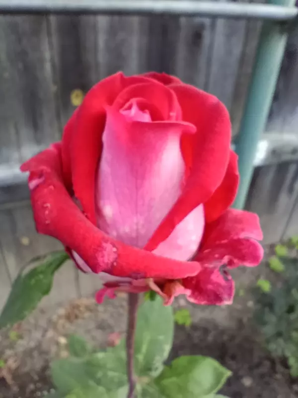 Загородная жизнь - обустройство на земле во всем разнообразии