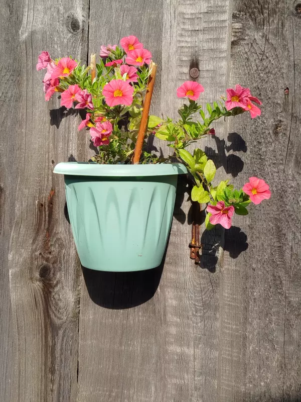 Лютики-цветочки или увлекательное крестьянство