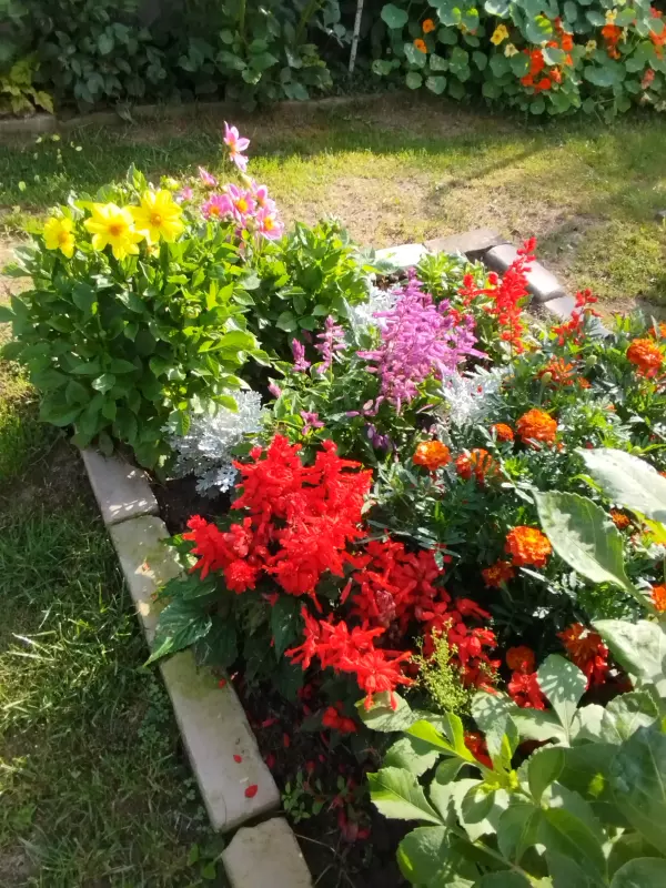 Лютики-цветочки или увлекательное крестьянство