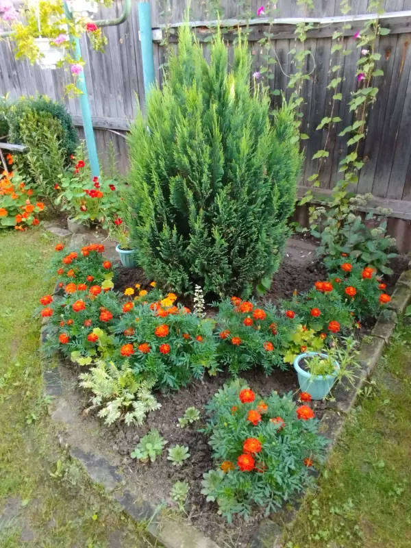 Лютики-цветочки или увлекательное крестьянство