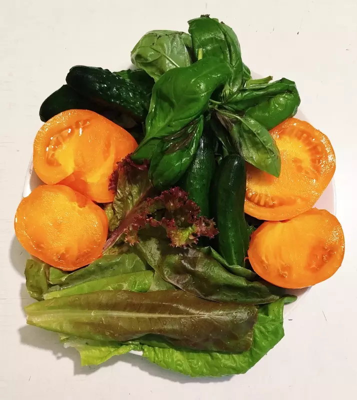 Лютики-цветочки или увлекательное крестьянство