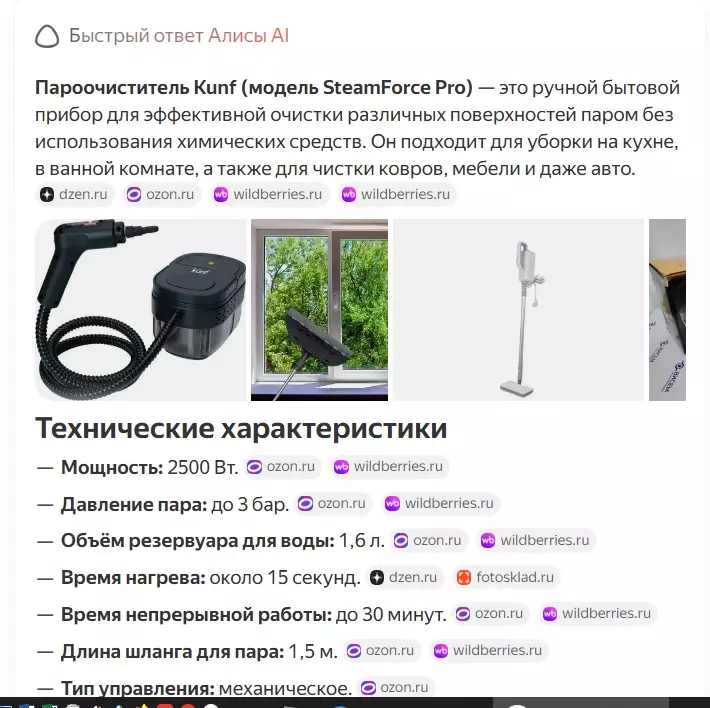 Пароочиститель (парогенератор)