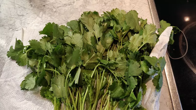 Где, что и когда купить в Москве