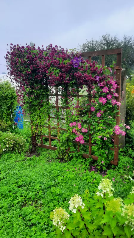 Загородная жизнь - обустройство на земле во всем разнообразии