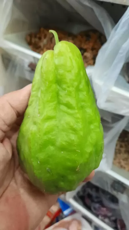 Тенденции по ценам и наличию товара на текущий момент в разных областях и странах из первых уст