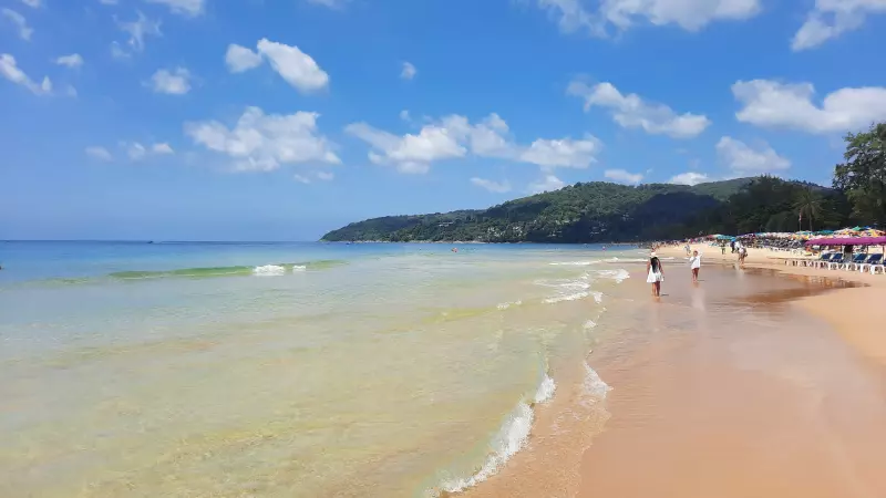 Тенденции по ценам и наличию товара на текущий момент в разных областях и странах из первых уст