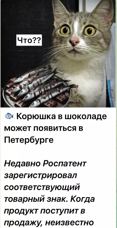 Где купить в Питере - разное!