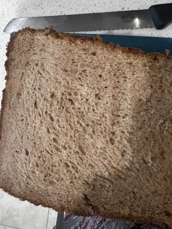 Пшеничный 100% цельнозерновой хлеб (из книги King Arthur Flour "Whole Grain)