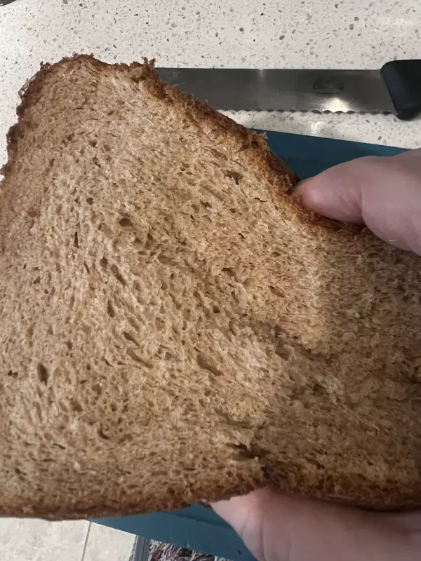 Пшеничный 100% цельнозерновой хлеб (из книги King Arthur Flour "Whole Grain)