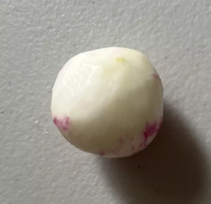 Овощечистка или Fruit and vegetable peeler