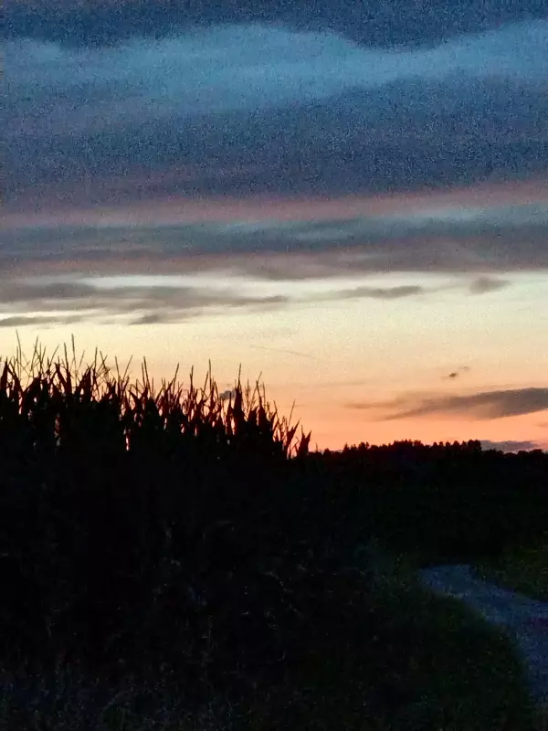 Такое разное небо