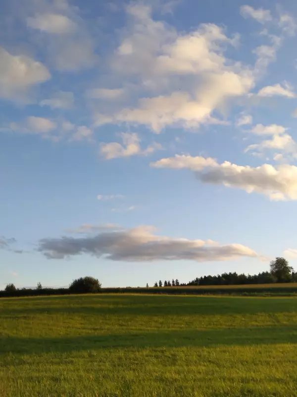 Такое разное небо