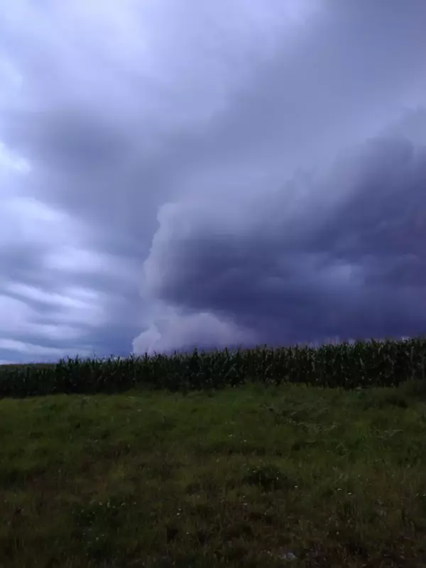 Такое разное небо
