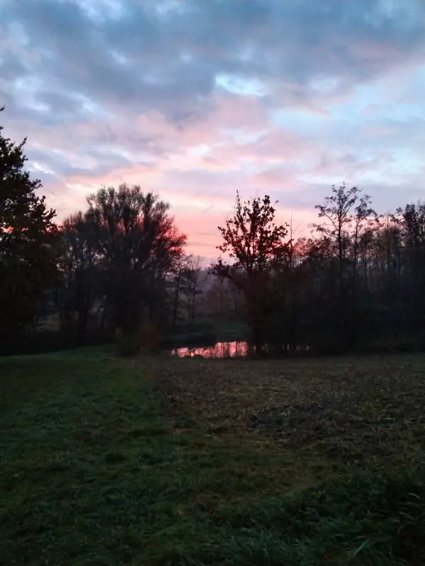 Такое разное небо