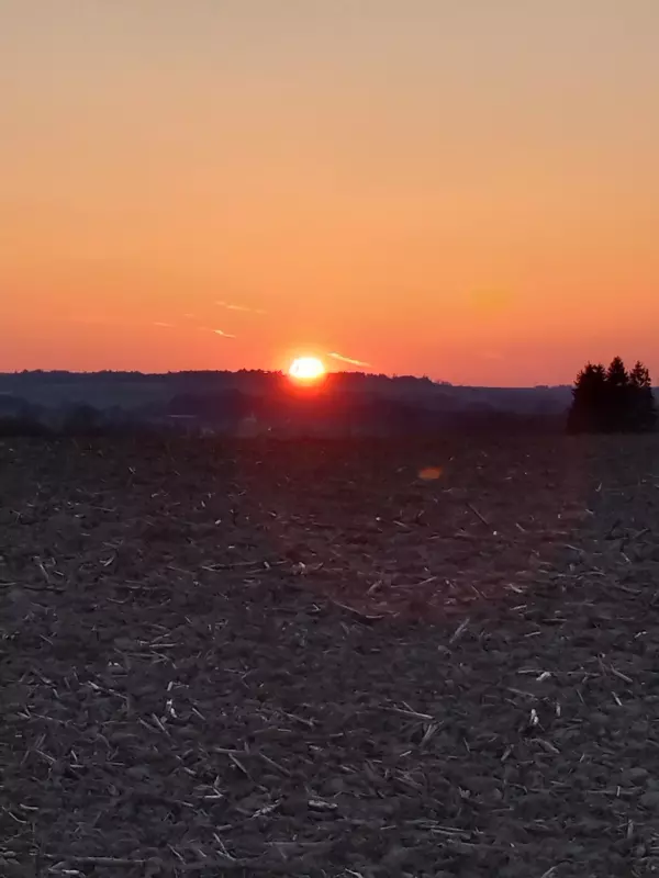 Такое разное небо