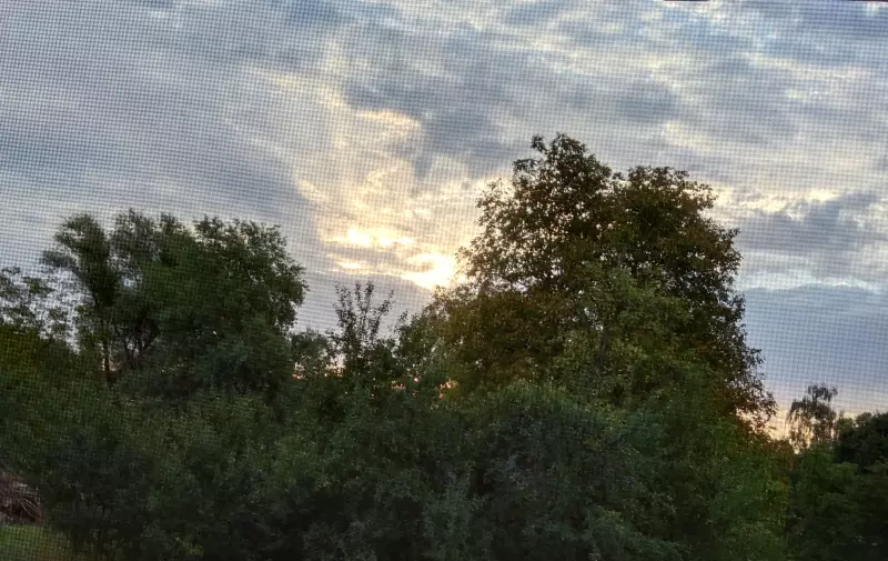 Такое разное небо