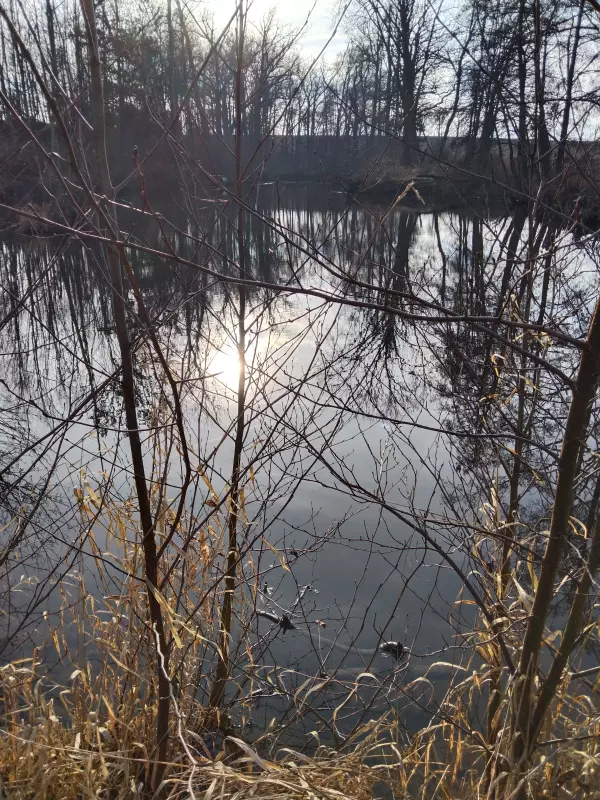 Фотонастроение