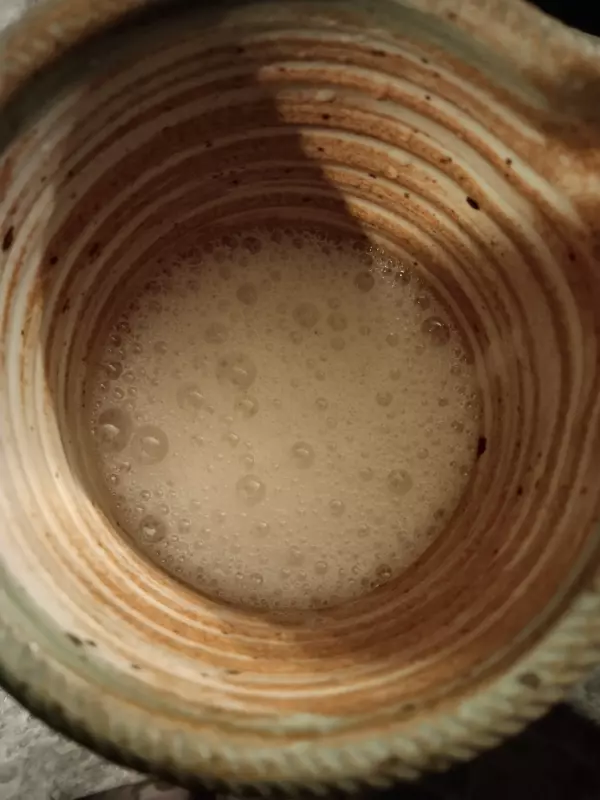 Соевая корова (аппарат для получения соевого молока, soy milk maker)